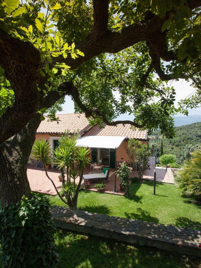 Il Mirto B&B Imperia Exterior photo
